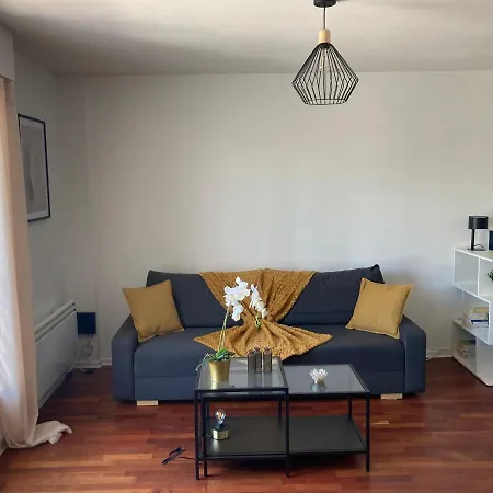Le 100 Brossolette Apartment