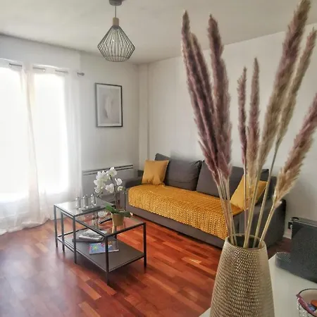Le 100 Brossolette Apartment
